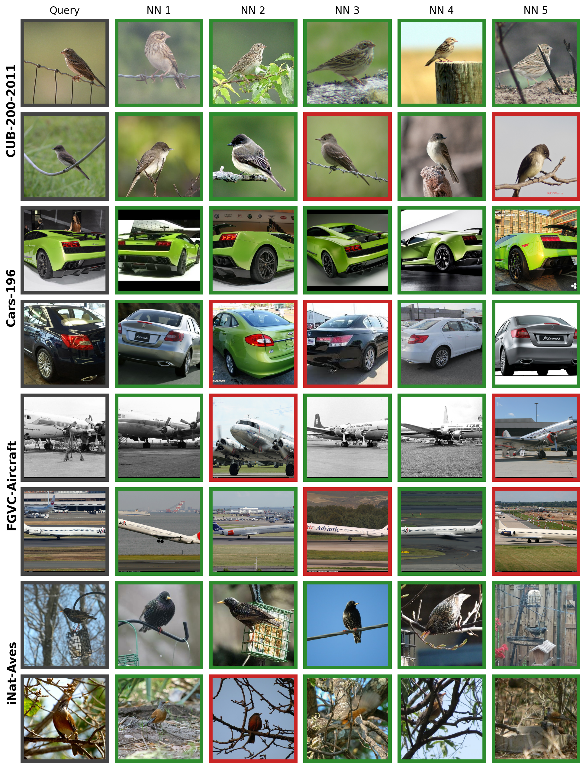Retrieval gallery: query images and their five nearest neighbours across CUB-200, Cars-196, FGVC-Aircraft and iNat-Aves; green borders are correct, red borders are incorrect
